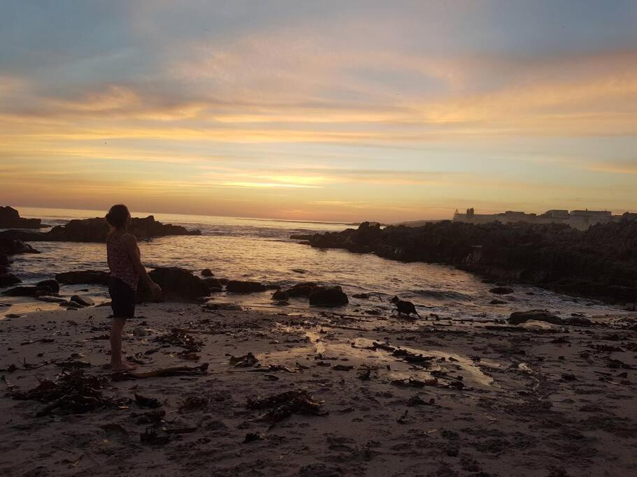 Mountain And Sea Cottage Hermanus Ngoại thất bức ảnh